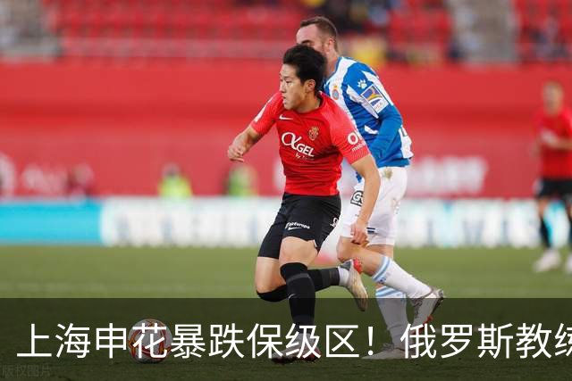 上海申花暴跌保级区！俄罗斯教练下课，媒体人：不如赌一手于汉超
