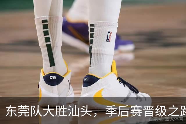 东莞队大胜汕头，季后赛晋级之路充满期待！