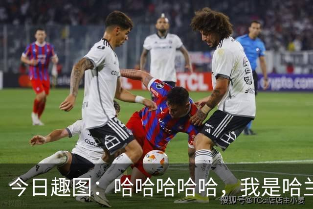 今日趣图：哈哈哈哈哈，我是哈兰德，进世界杯8强啦！