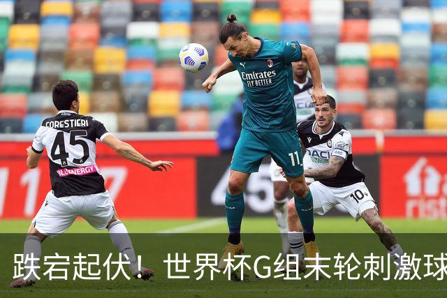 跌宕起伏！世界杯G组末轮刺激球迷心脏 伊朗狂喜过后遭打击