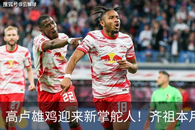 高卢雄鸡迎来新掌舵人！齐祖本月签约，带队征战欧洲杯与世界杯