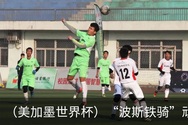 （美加墨世界杯）“波斯铁骑”顽强两连平 伊朗队期待更进一步